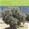 OLIVIERS DU NEGUS LES Auteur(s): GAUDE Laurent