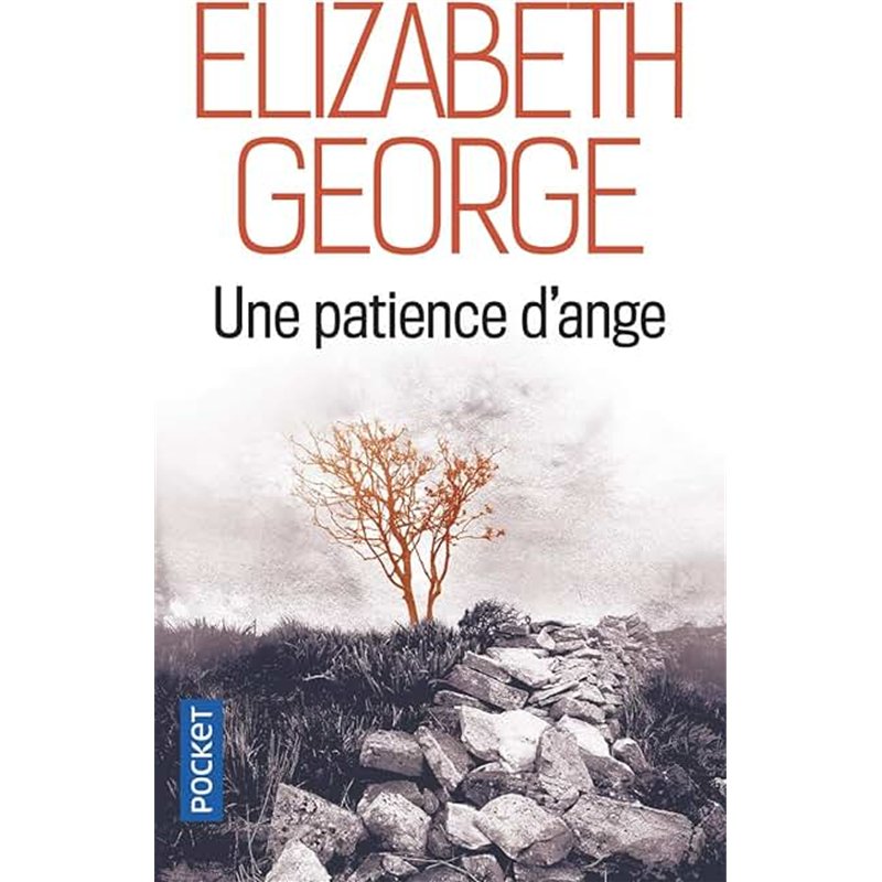 PATIENCE D'ANGE UNE Auteur(s): GEORGE Elizabeth