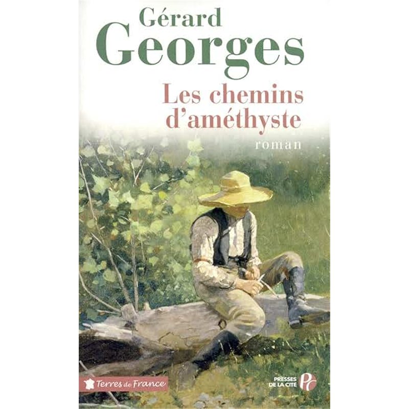 CHEMINS D'AMETHYSTE LES Auteur(s): GEORGES Gerard