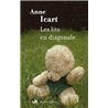 LITS EN DIAGONALE LES Auteur(s): ICART Anne