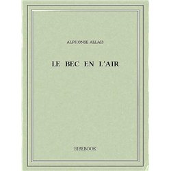 BEC-EN-L'AIR Auteur(s): LAFFON Martine