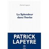 SPLENDEUR DANS L'HERBE LA Auteur(s): LAPEYRE Patrick