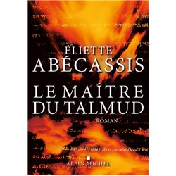 MAITRE DU TALMUD LE Auteur(s): ABECASSIS Agnes
