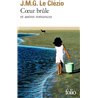 COEUR BRÛLE ET AUTRES ROMANCES Auteur(s): LE CLEZIO J.M.G.