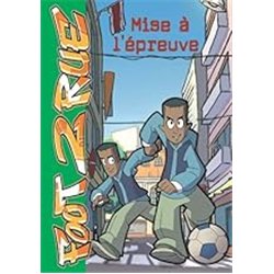 MISE A L'EPREUVE T.342 Auteur(s): LEYDIER Michel