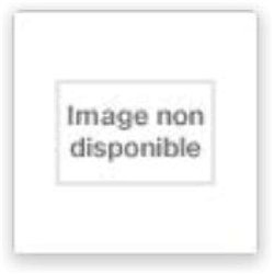 DISPARAITRE Auteur(s): POIVRE D'ARVOR Patrick