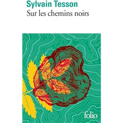SUR LES CHEMINS NOIRS Auteur(s): TESSON Sylvain