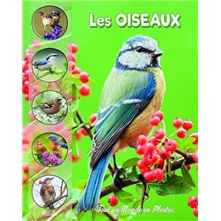 OISEAUX LES Auteur(s): BAILLET Christine