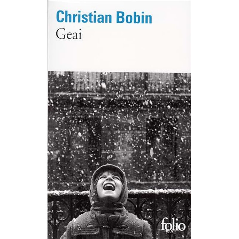 GEAI Auteur(s): BOBIN Christian