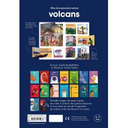 Volcans Auteur(s): Bordet-Petillon Sophie