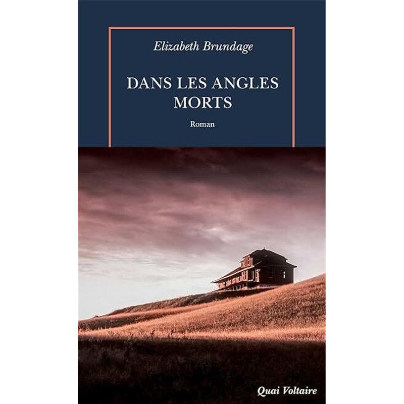 DANS LES ANGLES MORTS Auteur(s): BRUNDAGE Elizabeth