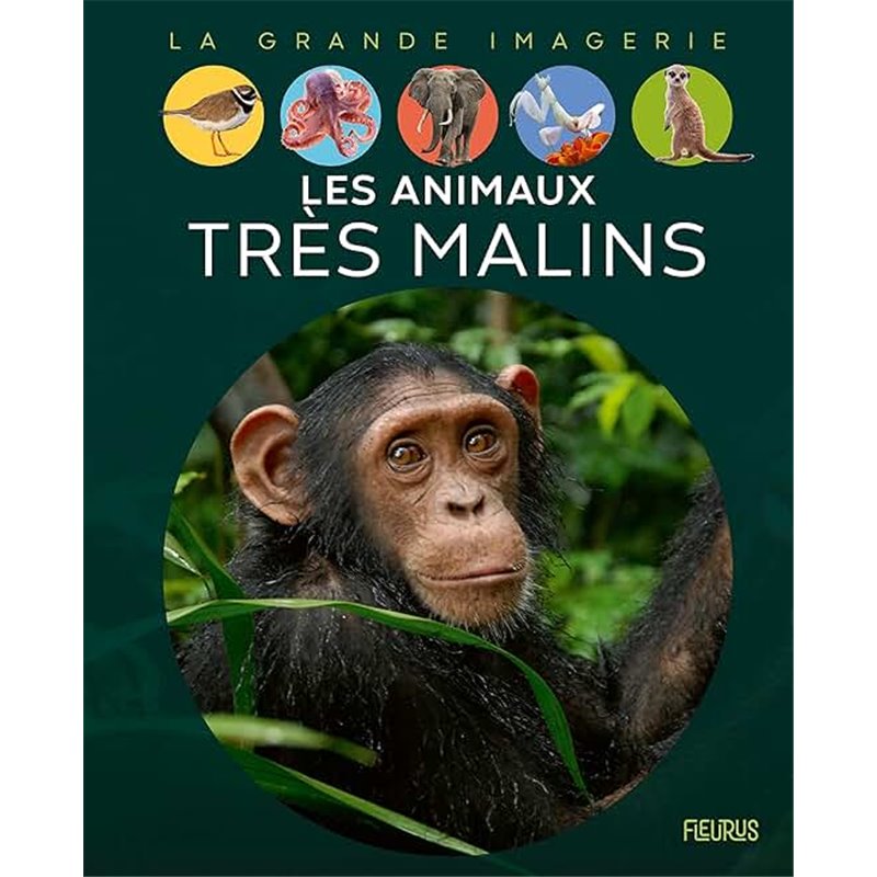 Animaux très malins les Auteur(s): BOCCADOR Sabine Animaux très malins les Auteur(s): BOCCADOR Sabine