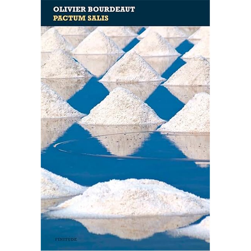 Pactum Salis Auteur(s): BOURDEAUT Olivier Pactum Salis Auteur(s): BOURDEAUT Olivier