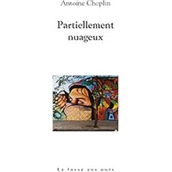 Partiellement nuageux Auteur(s): CHOPLIN Antoine