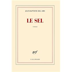 SEL LE Auteur(s): DEL Amo Jean-Baptiste