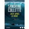 Juste aprÃ¨s la vague Auteur(s): COLLETTE Sandrine