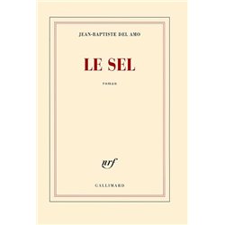 Sel le Auteur(s): DEL Amo Jean-Baptiste
