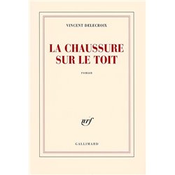 Chaussure sur le toit la Auteur(s): DELECROIX Vincent