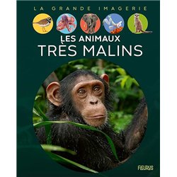 ANIMAUX TRES MALINS LES Auteur(s): BOCCADOR Sabine
