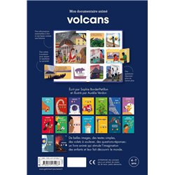 Volcans Auteur(s): Bordet-Petillon Sophie