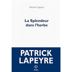 Splendeur dans l'herbe la Auteur(s): LAPEYRE Patrick
