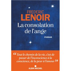 Consolation de l'ange la Auteur(s): LENOIR Frederic