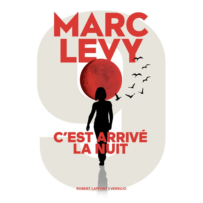 C'est arrivé la nuit T.1 Auteur(s): LEVY Marc C'est arrivé la nuit T.1 Auteur(s): LEVY Marc