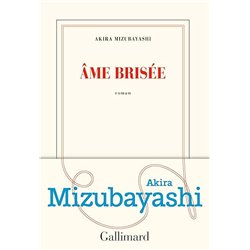 ÂME BRISEE Auteur(s): MIZUBAYASHI Akira