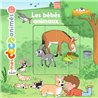BÃ©bÃ©s animaux les Auteur(s): MOREL Anne