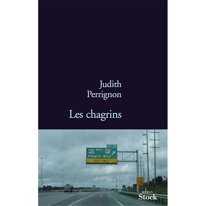 Chagrins les Auteur(s): PERRIGNON Judith Chagrins les Auteur(s): PERRIGNON Judith