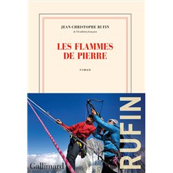 Flammes de pierre les Auteur(s): RUFIN Jean-Christophe