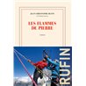 Flammes de pierre les Auteur(s): RUFIN Jean-Christophe