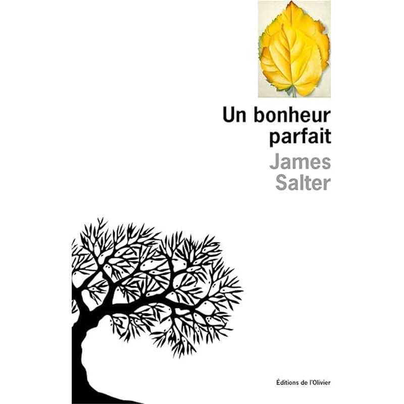 Bonheur parfait un Auteur(s): SALTER James Bonheur parfait un Auteur(s): SALTER James