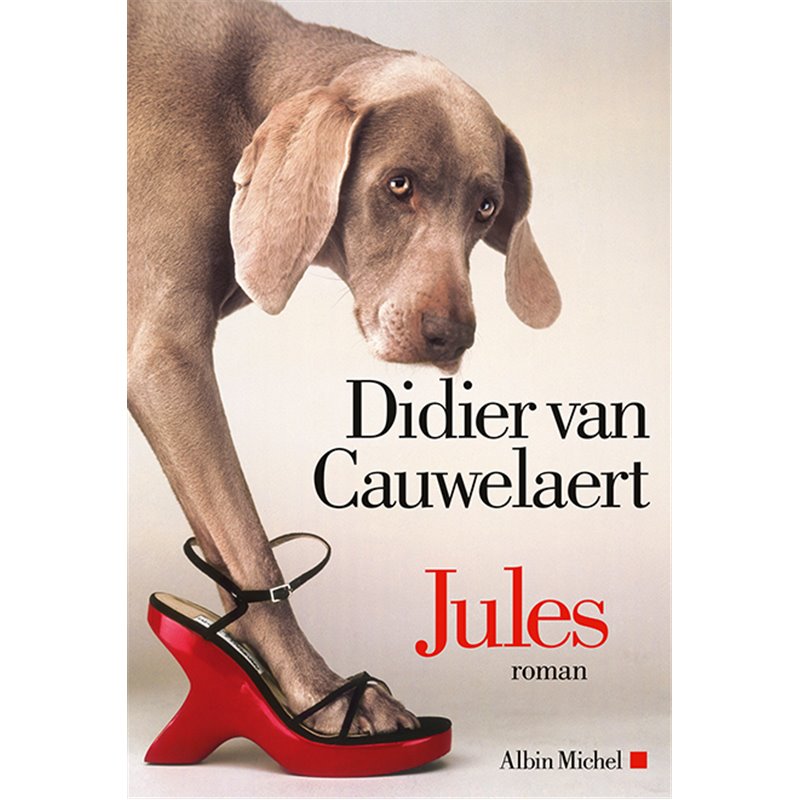 Jules Auteur(s): VAN CAUWELAERT Didier Jules Auteur(s): VAN CAUWELAERT Didier