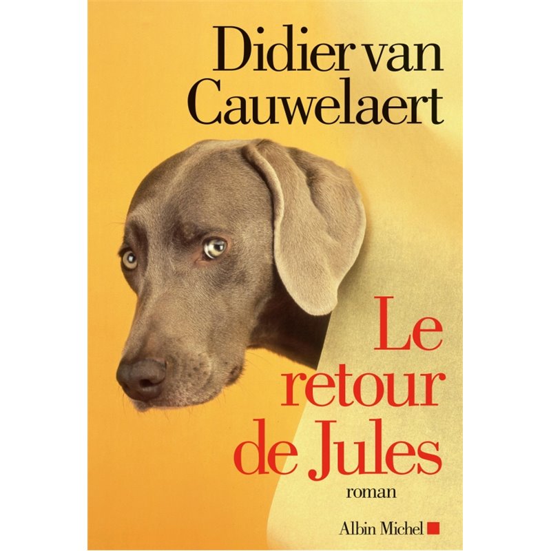 Retour de Jules le Auteur(s): VAN CAUWELAERT Didier Retour de Jules le Auteur(s): VAN CAUWELAERT Didier