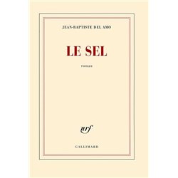 SEL LE Auteur(s): DEL Amo Jean-Baptiste